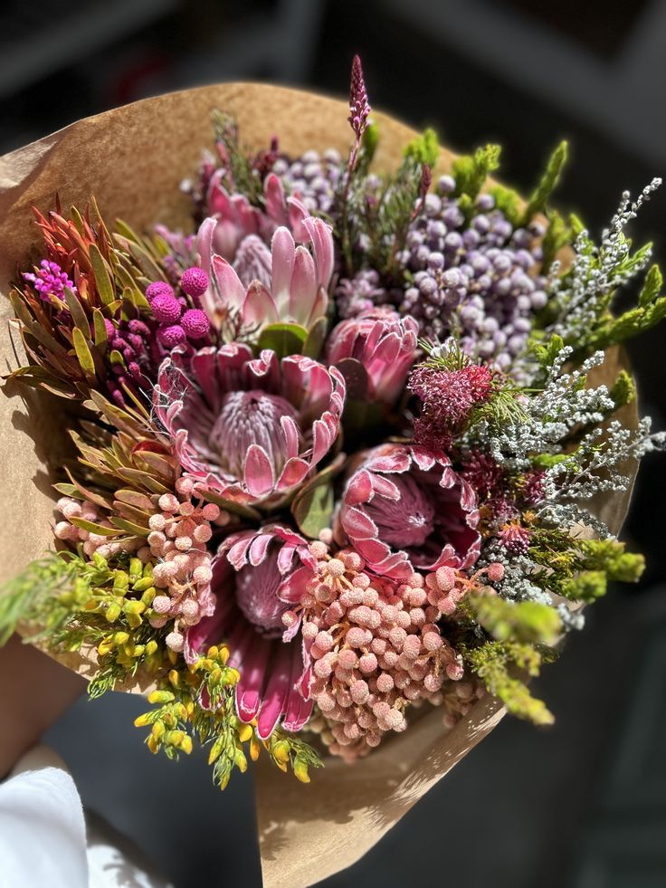 Protea Pride